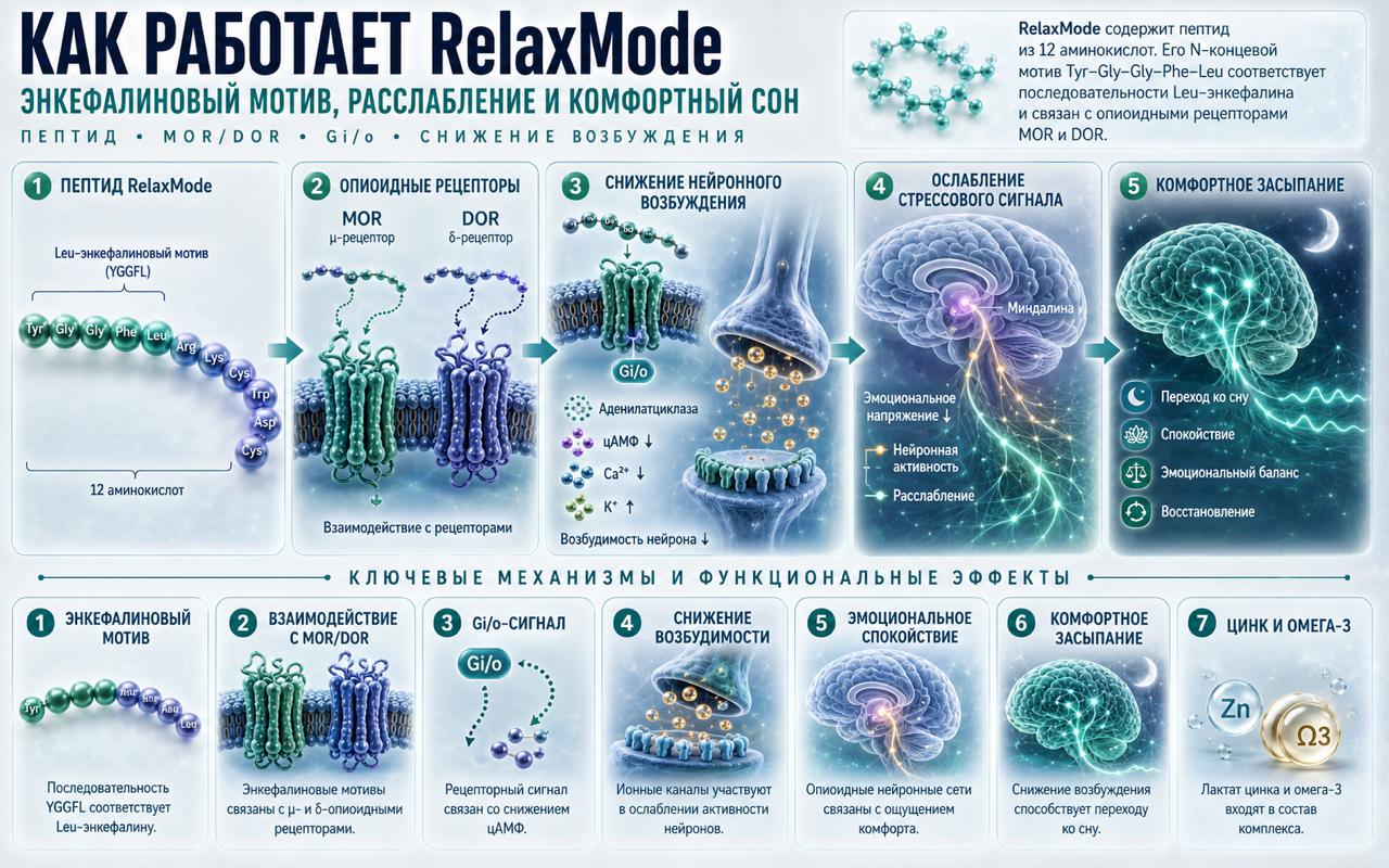 Как работает RelaxMode пептидный комплекс аминокислот, 50 мл