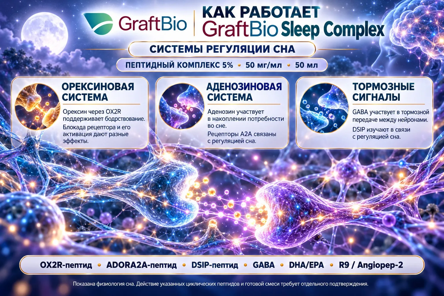 Как работает Sleep Complex