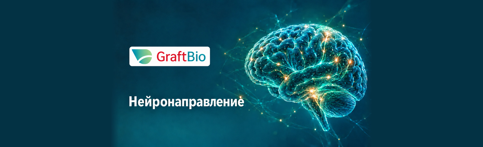 Нейронаправление — обложка видео